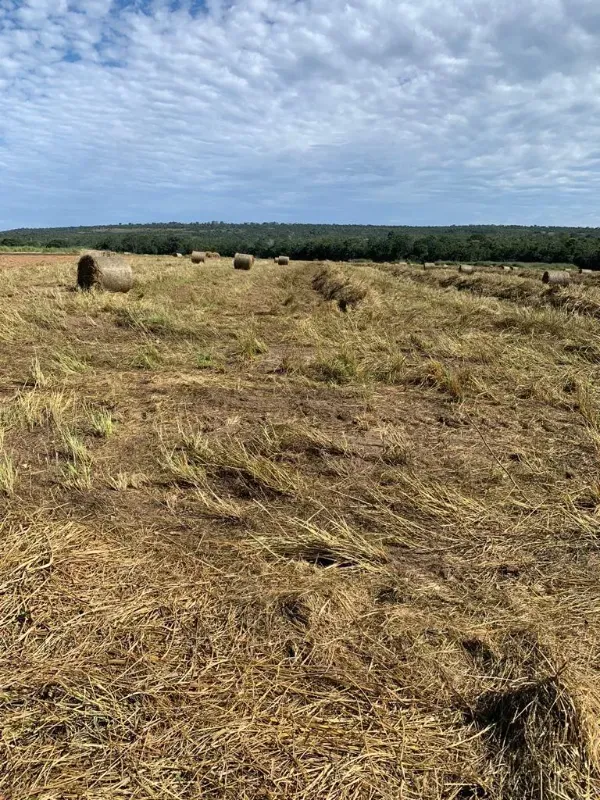 Fazenda em Barra do Garças/Mato Grosso — Ref BPBRFM — Imagem 19