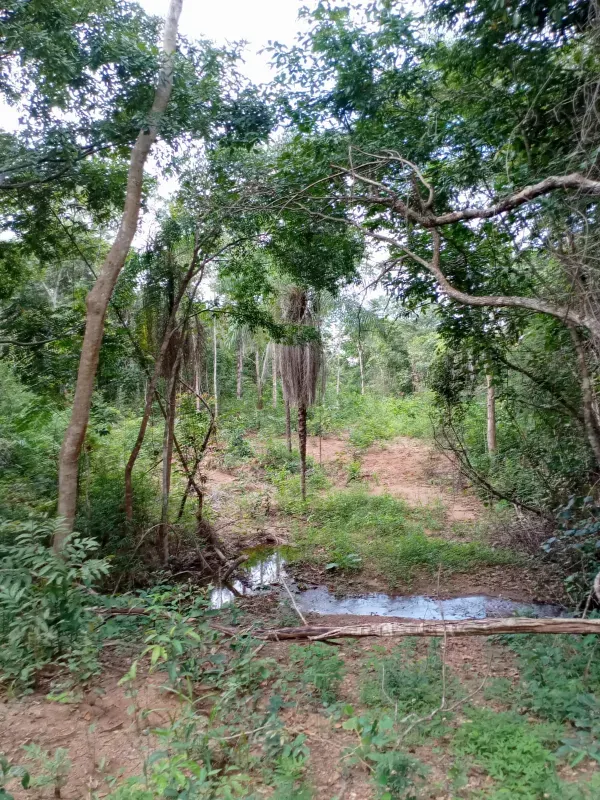 Fazenda em Montividiu do Norte/Goiás — Ref 1X8O71 — Imagem 2