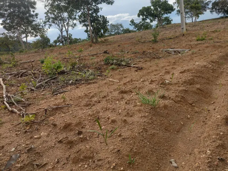 Fazenda em Montividiu do Norte/Goiás — Ref 1X8O71 — Imagem 4