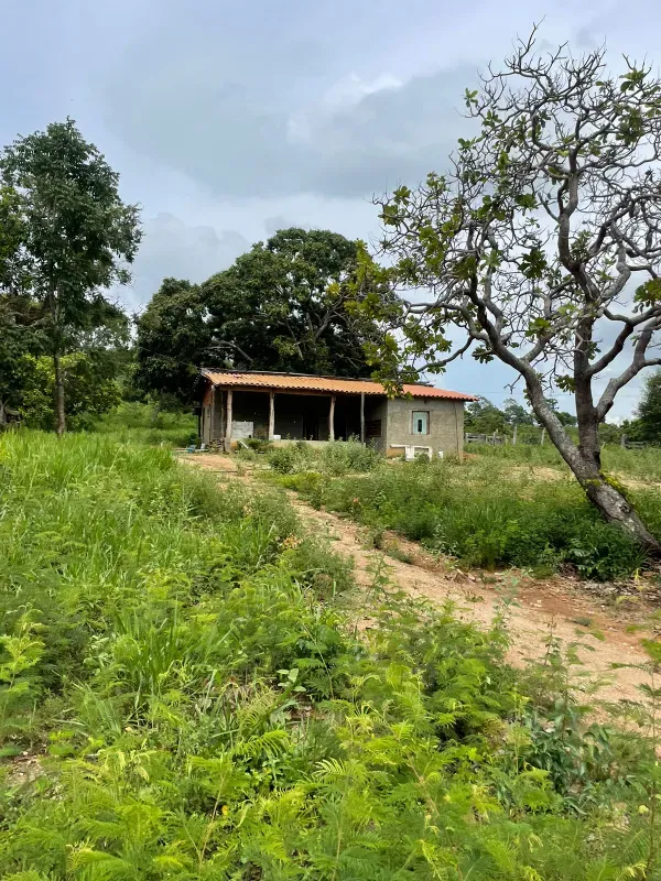 Fazenda em Montividiu do Norte/Goiás — Ref 1X8O71 — Imagem 6