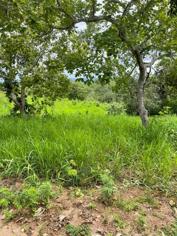 Fazenda em Montividiu do Norte/Goiás — Ref 1X8O71 — Imagem 7