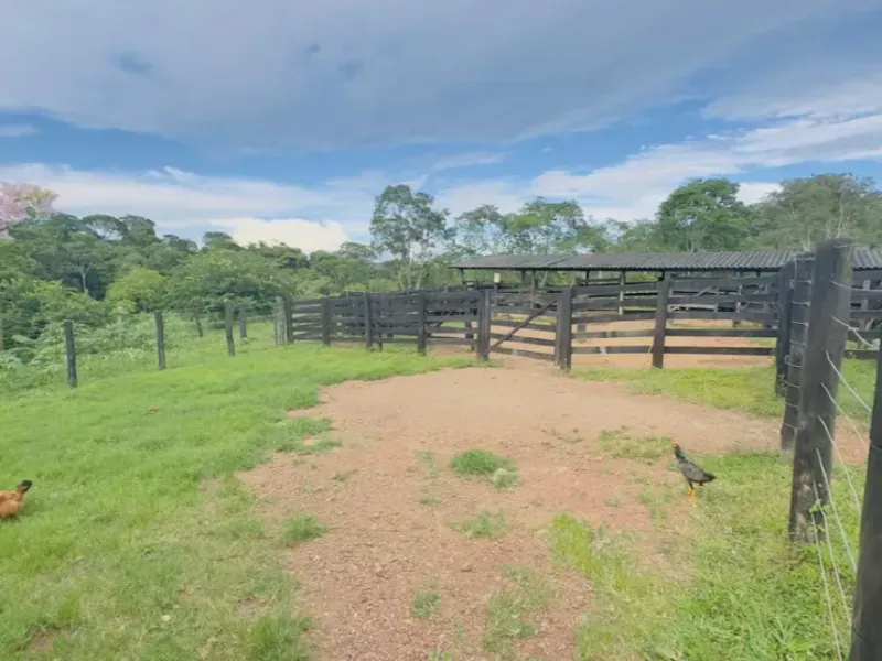 Fazenda em Abadiânia/Goiás — Ref S14FE6 — Imagem 5