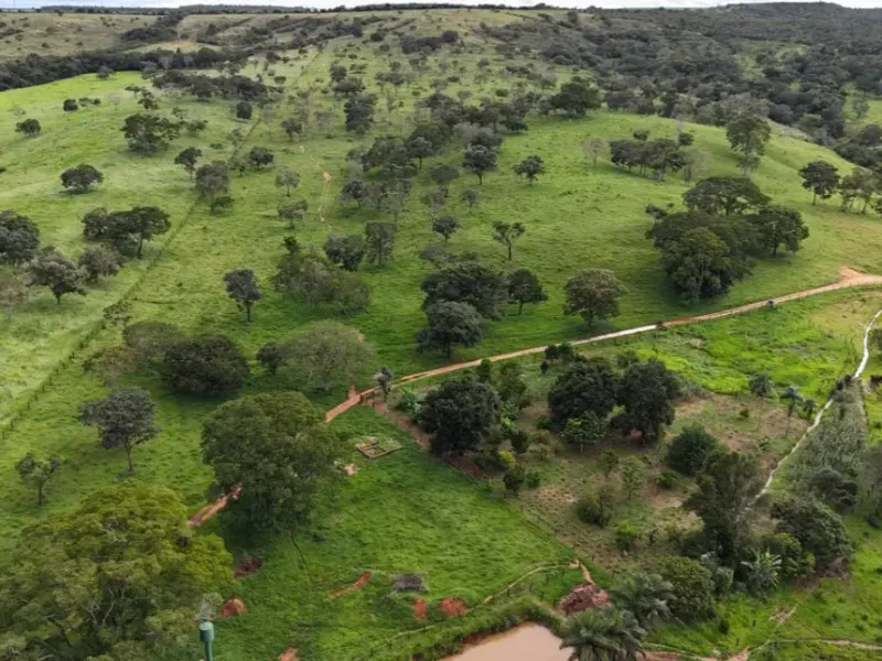 Fazenda em Abadiânia/Goiás — Ref S14FE6 — Imagem 6