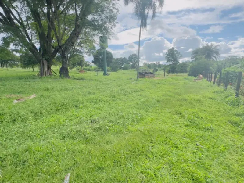 Fazenda em Abadiânia/Goiás — Ref S14FE6 — Imagem 9