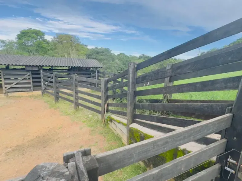 Fazenda em Abadiânia/Goiás — Ref S14FE6 — Imagem 10