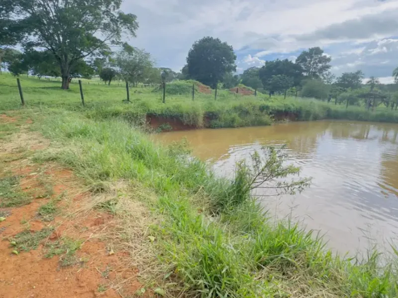 Fazenda em Abadiânia/Goiás — Ref S14FE6 — Imagem 19