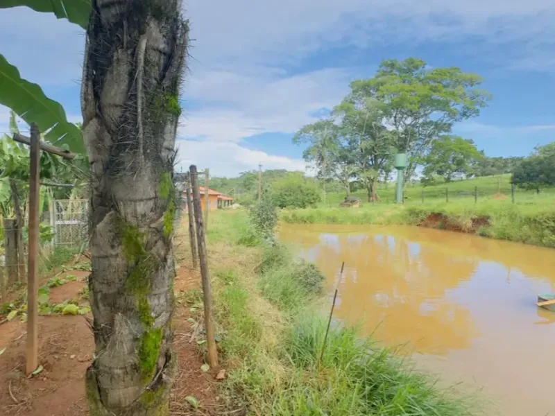 Fazenda em Abadiânia/Goiás — Ref S14FE6 — Imagem 20