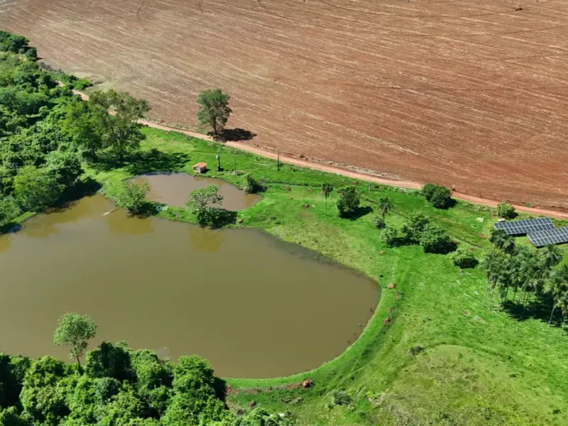 Fazenda em Pontalina/Goiás — Ref SGJPVM — Imagem 3