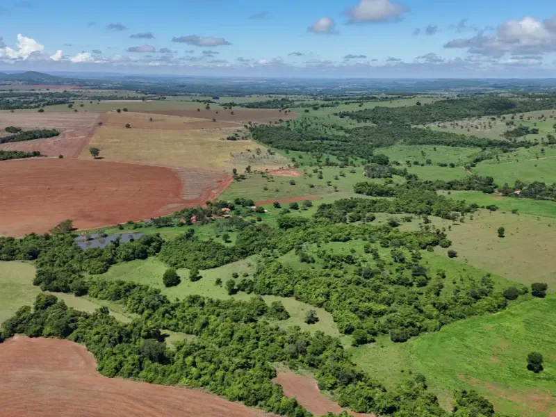 Fazenda em Pontalina/Goiás — Ref SGJPVM — Imagem 4