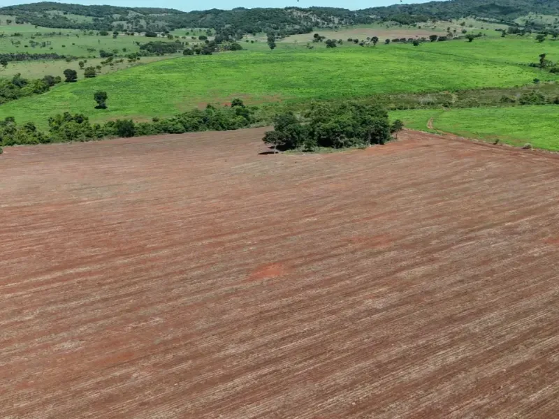 Fazenda em Pontalina/Goiás — Ref SGJPVM — Imagem 6