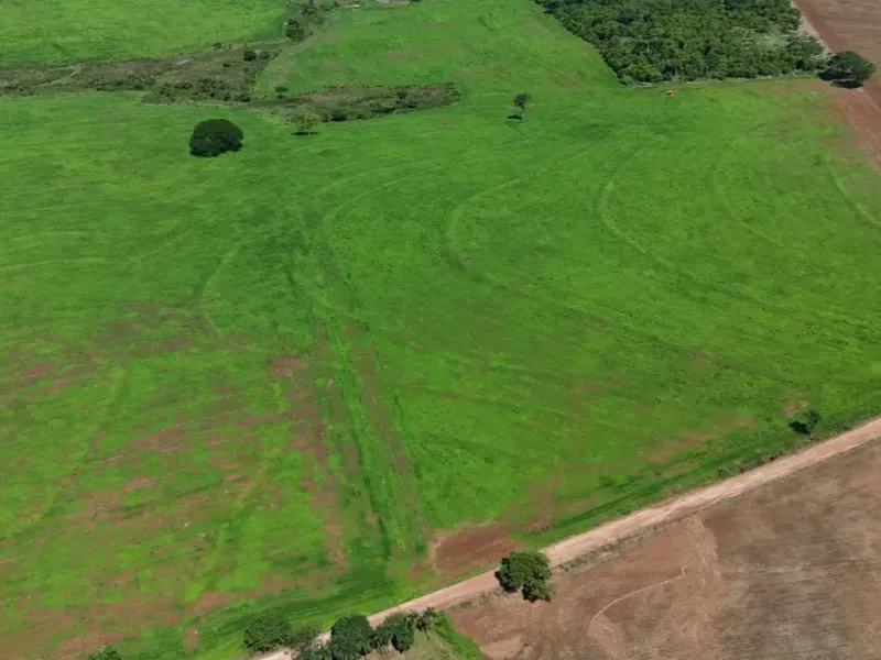 Fazenda em Pontalina/Goiás — Ref SGJPVM — Imagem 8
