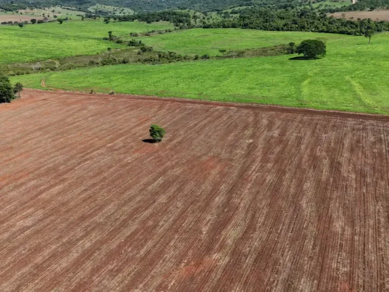 Fazenda em Pontalina/Goiás — Ref SGJPVM — Imagem 9
