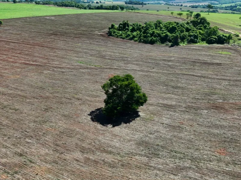 Fazenda em Pontalina/Goiás — Ref SGJPVM — Imagem 10