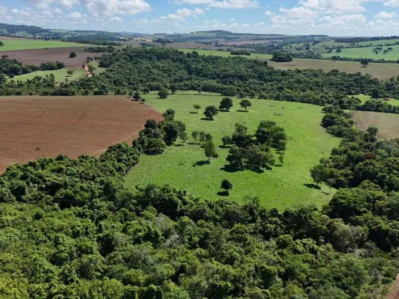 Fazenda em Pontalina/Goiás — Ref SGJPVM — Imagem 11