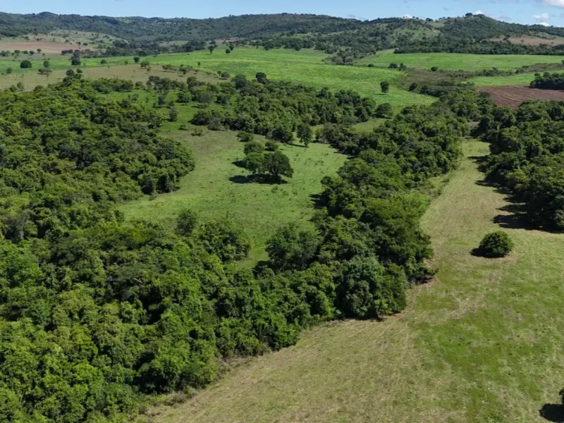 Fazenda em Pontalina/Goiás — Ref SGJPVM — Imagem 12
