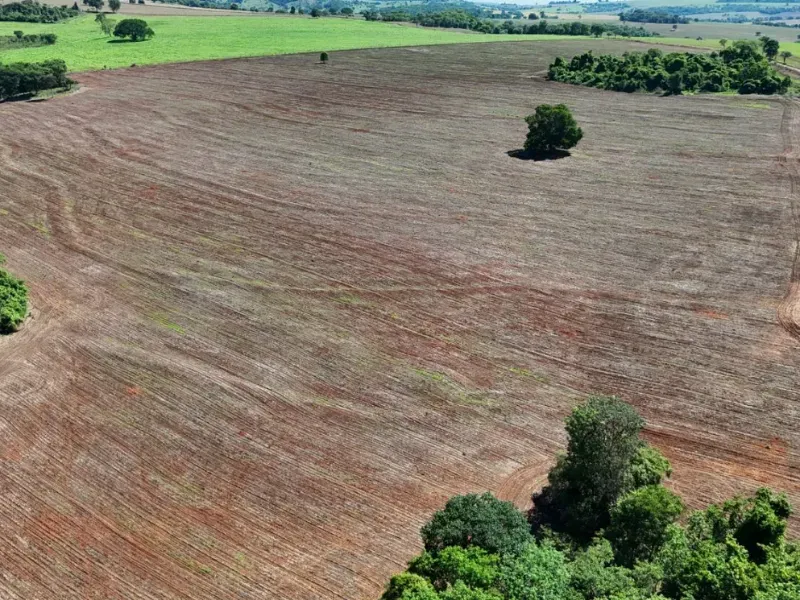 Fazenda em Pontalina/Goiás — Ref SGJPVM — Imagem 13