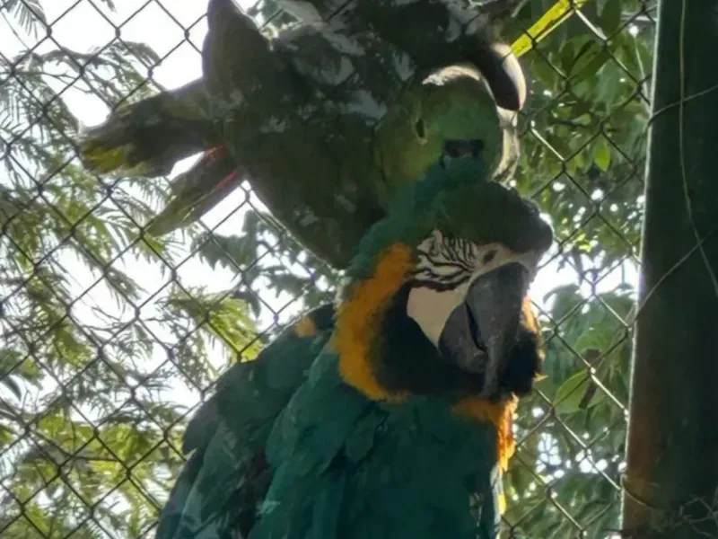 Fazenda em Gameleira de Goiás/Goiás — Ref XKIUFR — Imagem 12