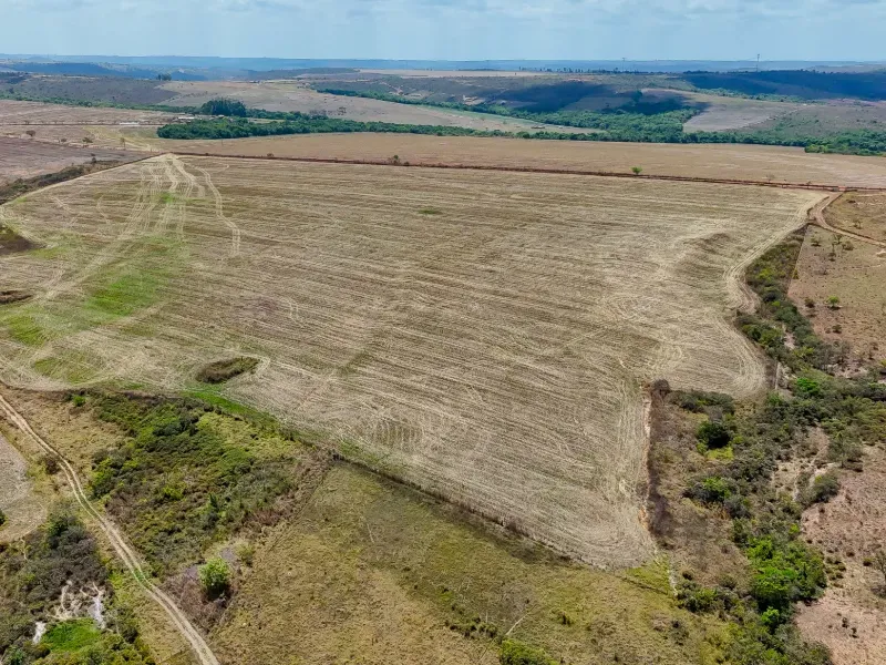 Fazenda em Abadiânia/Goiás — Ref MF3OQP — Imagem 21
