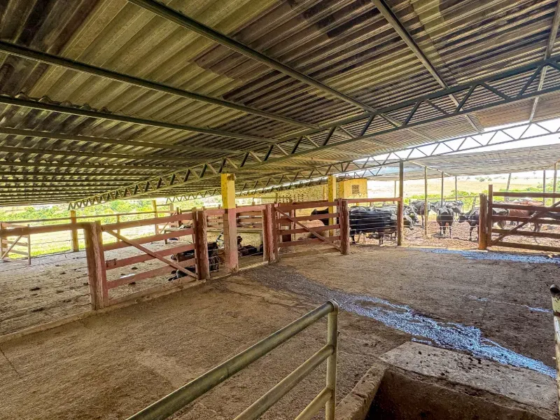 Fazenda em Abadiânia/Goiás — Ref MF3OQP — Imagem 18