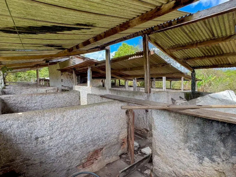Fazenda em Abadiânia/Goiás — Ref MF3OQP — Imagem 15
