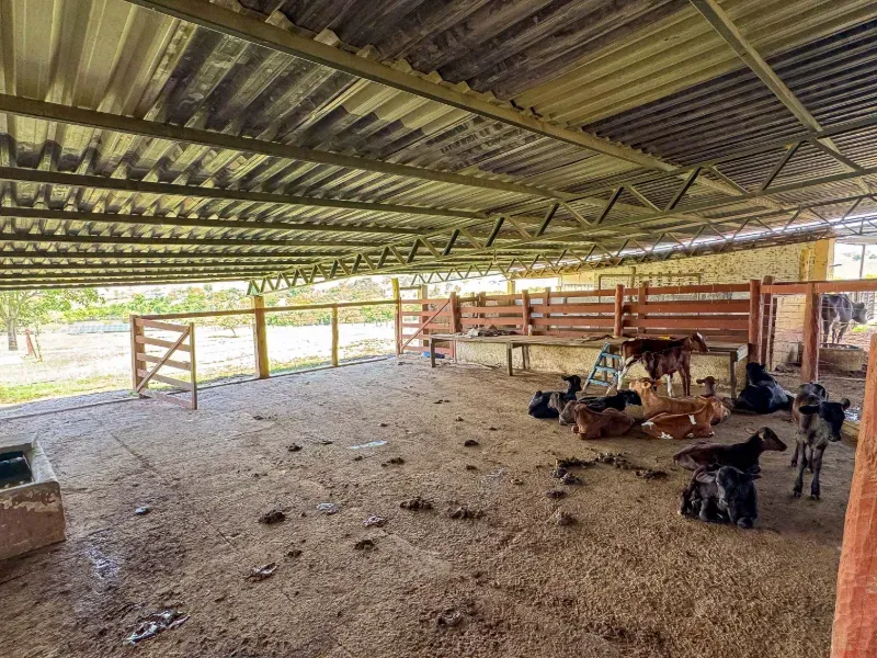 Fazenda em Abadiânia/Goiás — Ref MF3OQP — Imagem 16