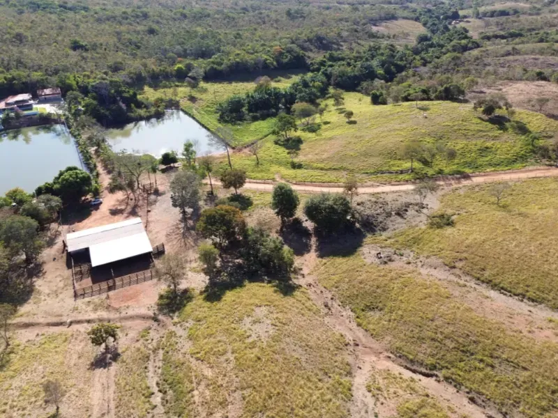 Fazenda em Goianésia/Goiás — Ref TN0RX1 — Imagem 12