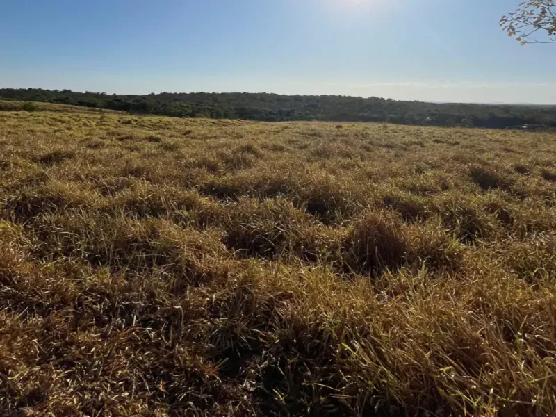 Fazenda em Goianésia/Goiás — Ref TN0RX1 — Imagem 22