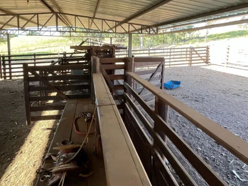 Fazenda em Goianésia/Goiás — Ref TN0RX1 — Imagem 20