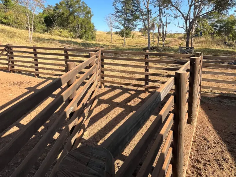 Fazenda em Goianésia/Goiás — Ref TN0RX1 — Imagem 21