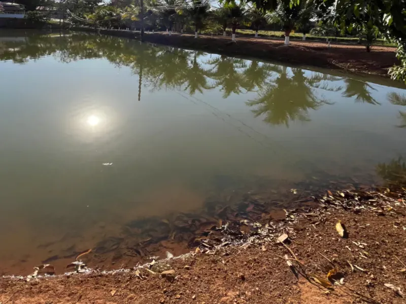 Fazenda em Goianésia/Goiás — Ref TN0RX1 — Imagem 17