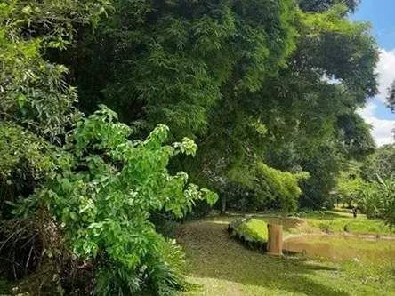 Chácara em Águas Lindas de Goiás/Goiás — Ref MKG5DY — Imagem 3