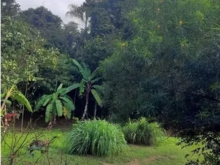 Chácara em Águas Lindas de Goiás/Goiás — Ref MKG5DY — Imagem 7