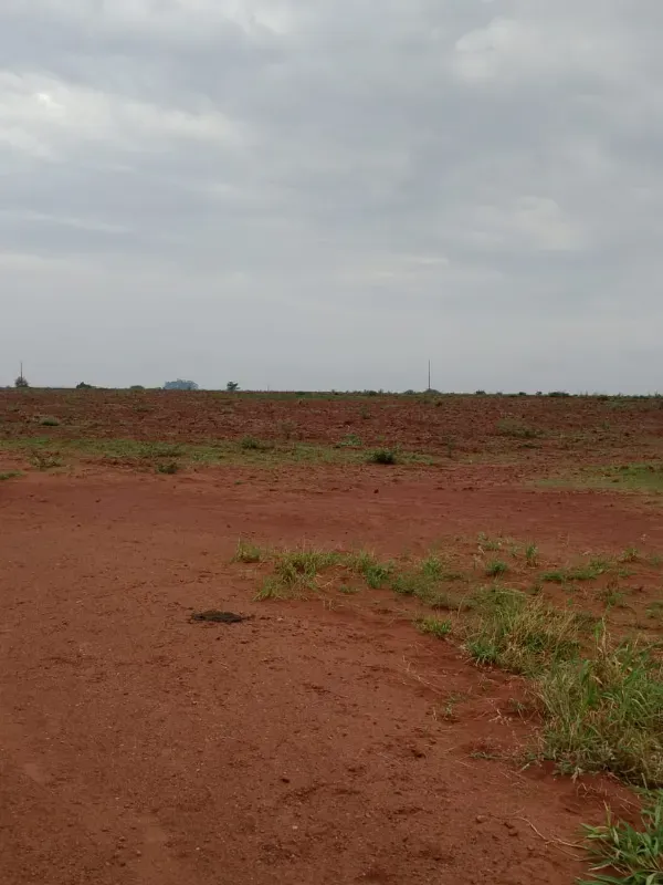 Fazenda em Uberaba/Minas Gerais — Ref UTSJF9 — Imagem 4