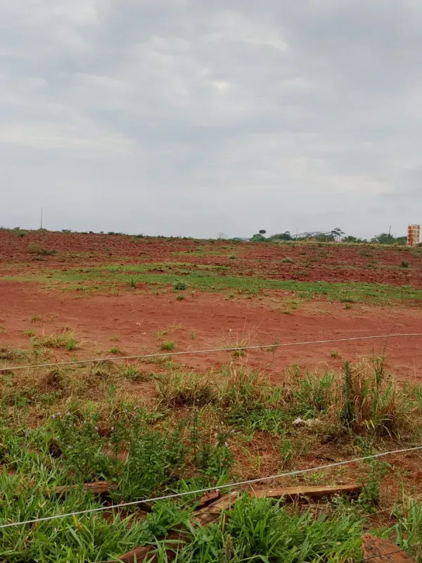 Fazenda em Uberaba/Minas Gerais — Ref UTSJF9 — Imagem 5