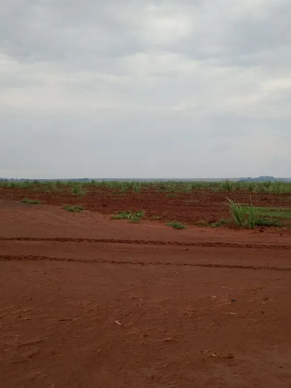 Fazenda em Uberaba/Minas Gerais — Ref UTSJF9 — Imagem 3