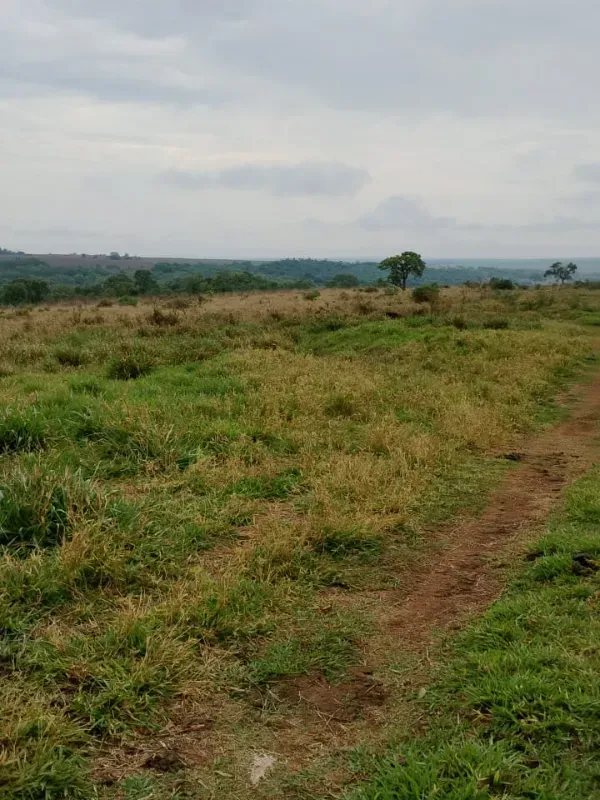 Fazenda em Uberaba/Minas Gerais — Ref UTSJF9 — Imagem 6