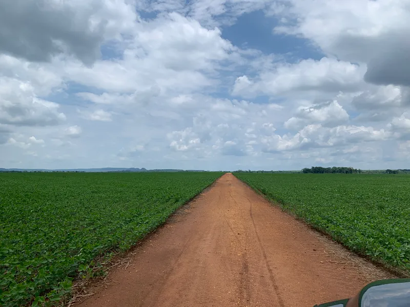 Fazenda em Dourados/Mato Grosso do Sul — Ref 3QRG40 — Imagem 2