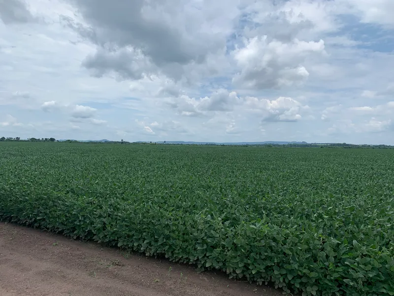 Fazenda em Dourados/Mato Grosso do Sul — Ref 3QRG40 — Imagem 3