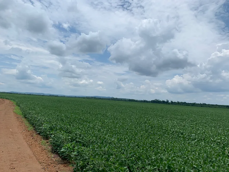 Fazenda em Dourados/Mato Grosso do Sul — Ref 3QRG40 — Imagem 4