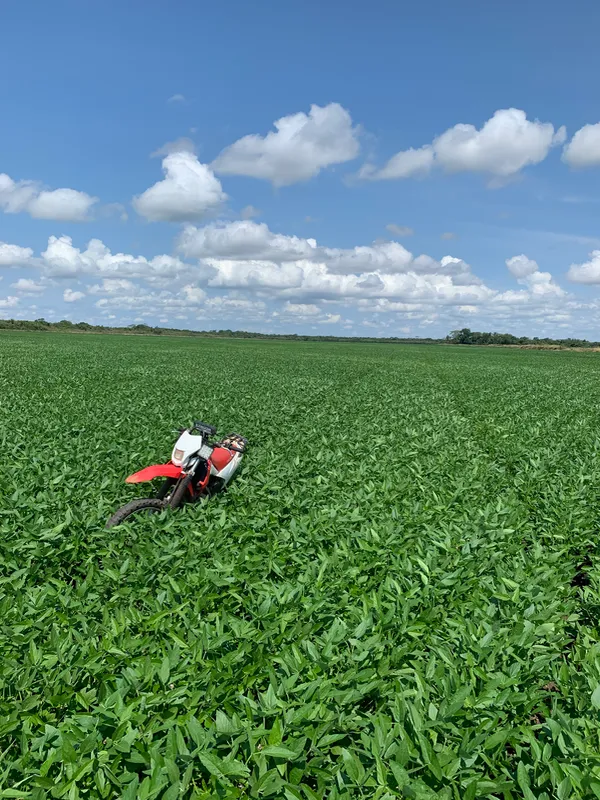 Fazenda em Dourados/Mato Grosso do Sul — Ref 3QRG40 — Imagem 5