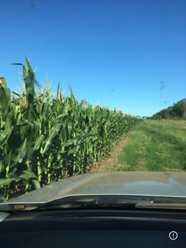Fazenda em Dourados/Mato Grosso do Sul — Ref 3QRG40 — Imagem 6