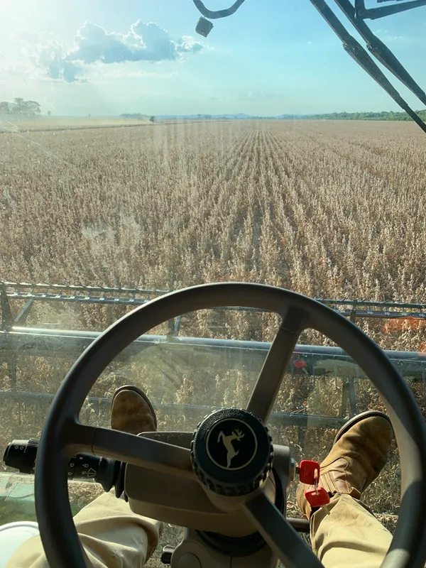 Fazenda em Dourados/Mato Grosso do Sul — Ref 3QRG40 — Imagem 8
