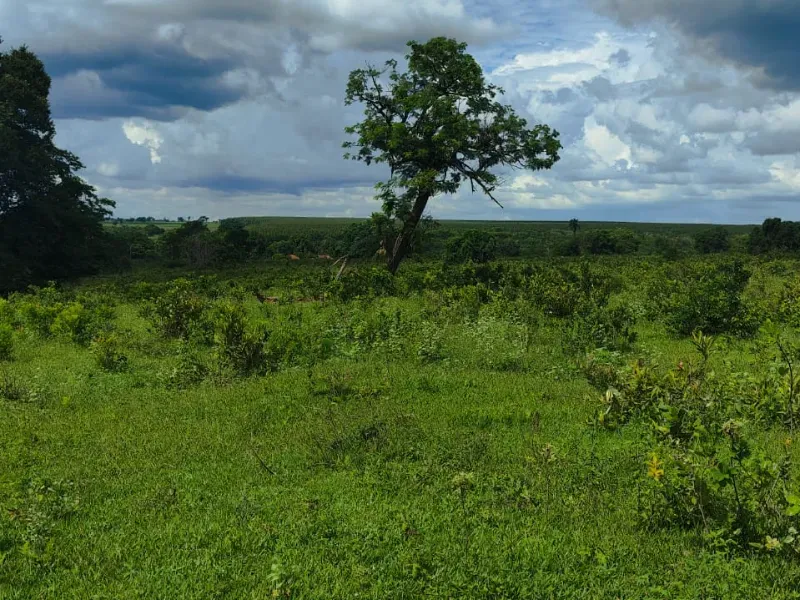 Fazenda em Paraíso das Águas/Mato Grosso do Sul — Ref 52O8AU — Imagem 2