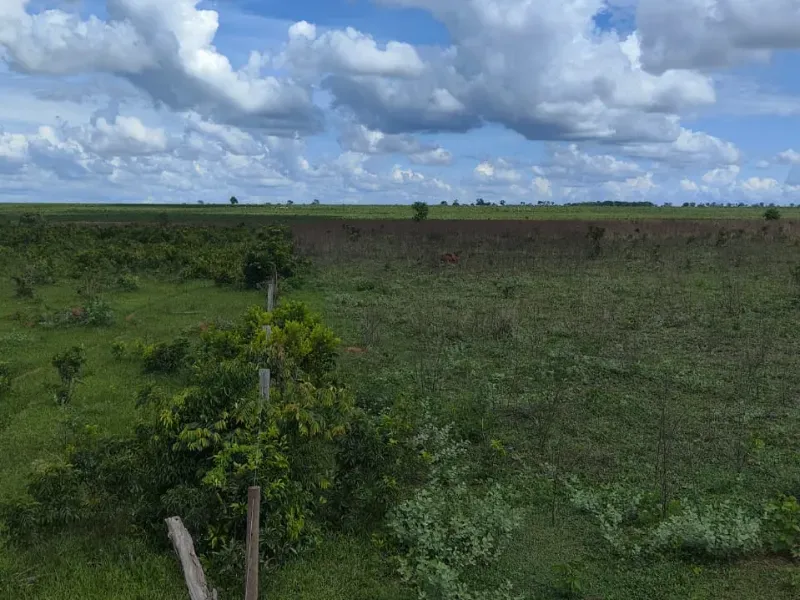 Fazenda em Paraíso das Águas/Mato Grosso do Sul — Ref 52O8AU — Imagem 10