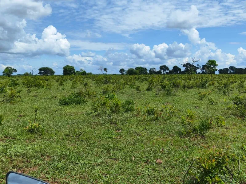 Fazenda em Paraíso das Águas/Mato Grosso do Sul — Ref 52O8AU — Imagem 8
