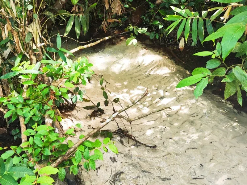 Fazenda em Paraíso das Águas/Mato Grosso do Sul — Ref 52O8AU — Imagem 6