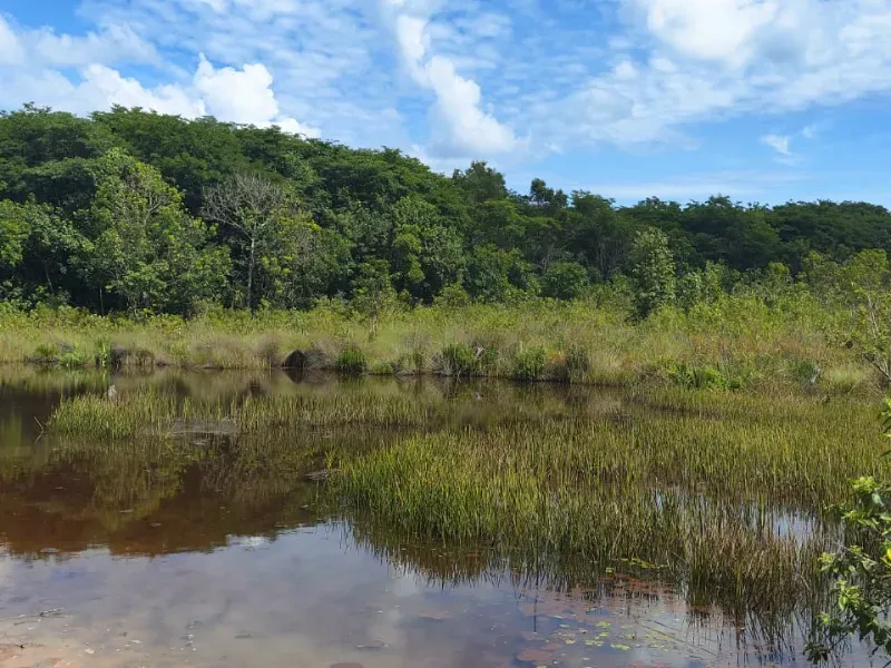 Fazenda em Paraíso das Águas/Mato Grosso do Sul — Ref 52O8AU — Imagem 5