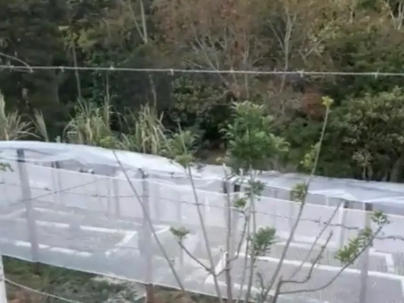 Chácara em Nazaré Paulista/São Paulo — Ref OPERGE — Imagem 31