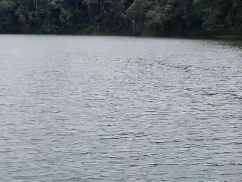 Chácara em Nazaré Paulista/São Paulo — Ref OPERGE — Imagem 28