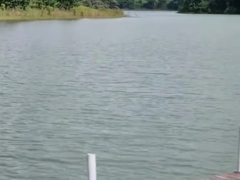 Chácara em Nazaré Paulista/São Paulo — Ref OPERGE — Imagem 30